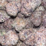 BLACK RUNTZ