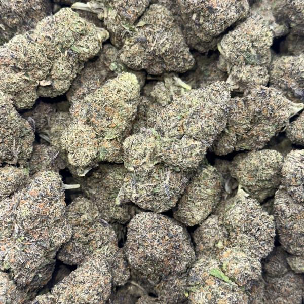 HYBRID BERRY KAKE(HBK)