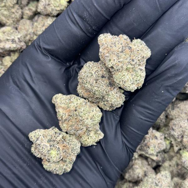 Gusher Berriez (GB125)