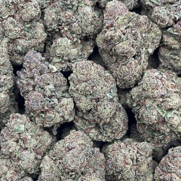 Tres Leches - PK1664