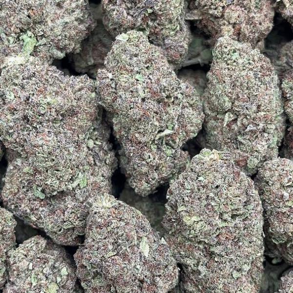 Dawg Breath - PK1662