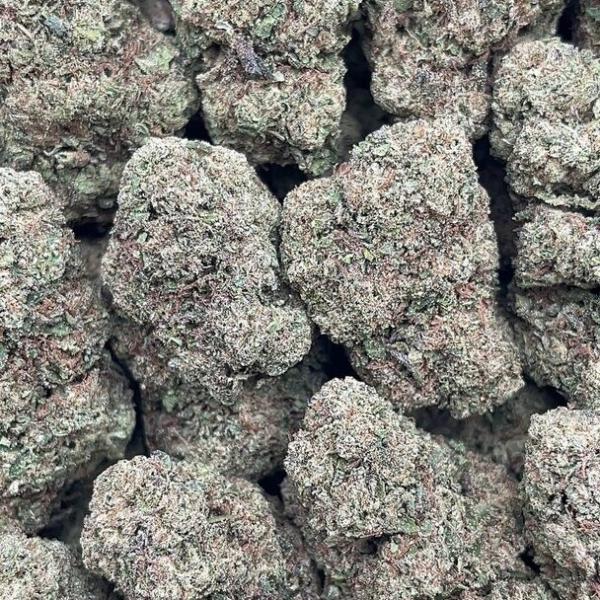 Crypto Gelato - PK1665