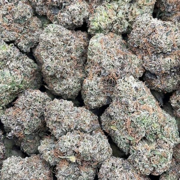 Gelato Sundae - PK1709