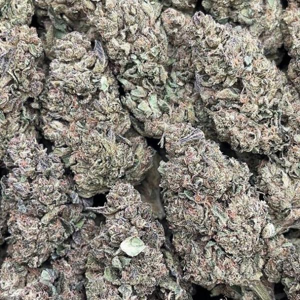 Cookies and Cream - PK1671