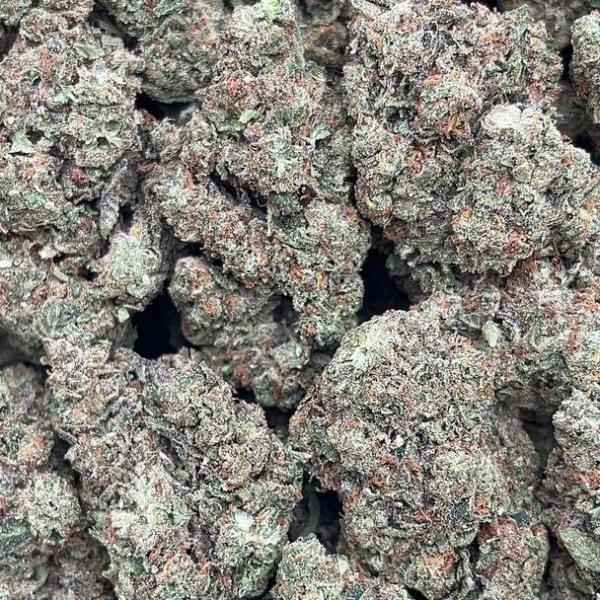 Caramel Cream - PK1663