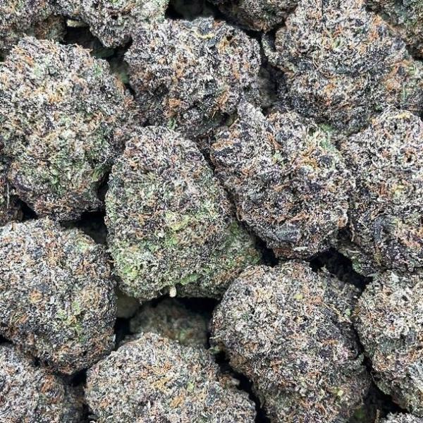 Blue Gummies - PK1703