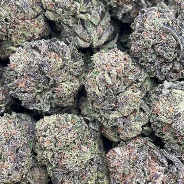 Amnesia Haze - PK1566