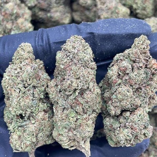 Runtz Muffin - PK1668