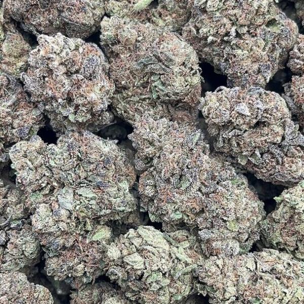 Sweet Runtz - PK1670