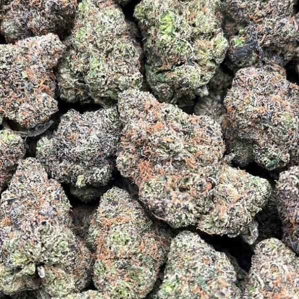 Disco Glitter - PK1736