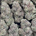 Runtz Muffin - PK1668