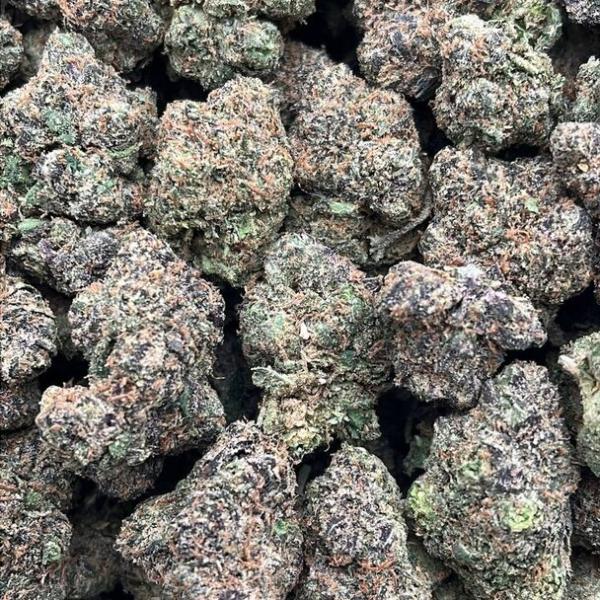 Caked Up Cherries - PK1735