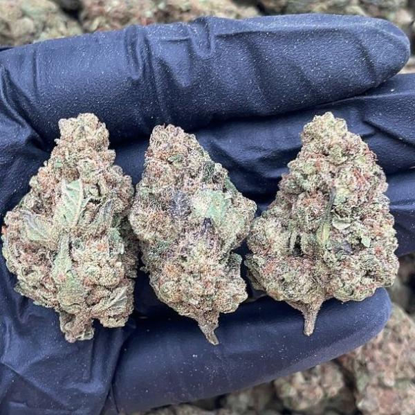 Peach Ringz - PK1596