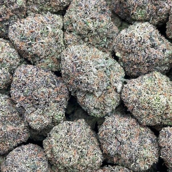 Pina Grande - PK1708