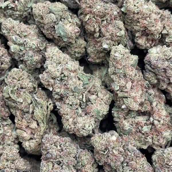 Peach Ringz - PK1596