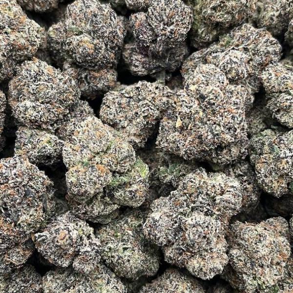 Lemon Cherry Gelato - PK1730