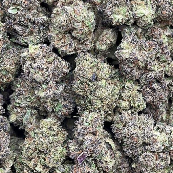 Scooby Snacks - PK1661