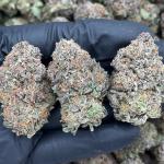 Platinum Blue Dream - PK1637