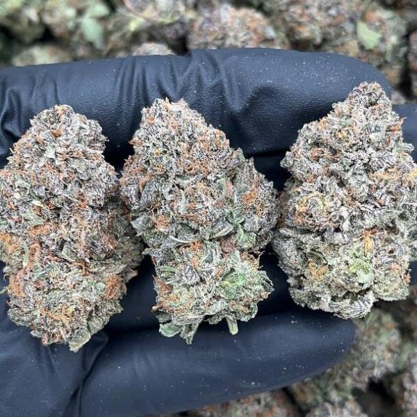 Platinum Blue Dream - PK1637