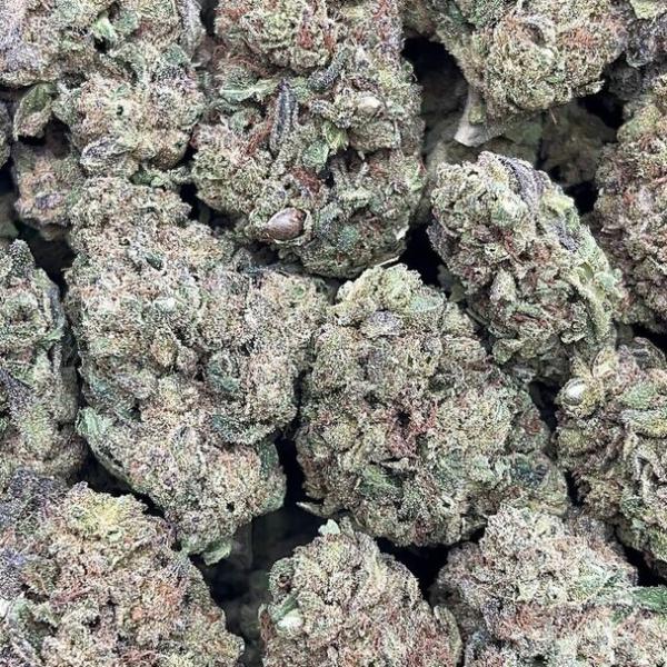 Silver Haze - PK1638