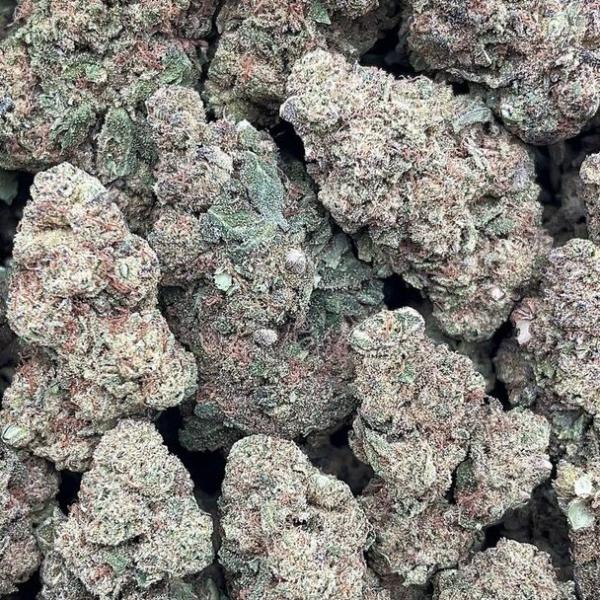 Chocolate Thai - PK1639