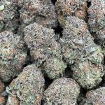 Platinum Blue Dream - PK1637