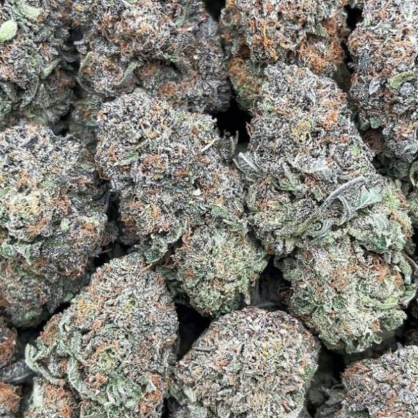 Platinum Blue Dream - PK1637