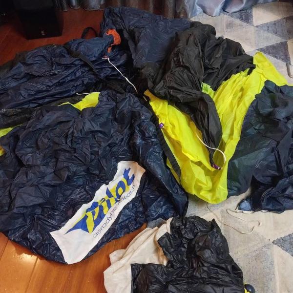 Pilot 168 Canopy (2015)