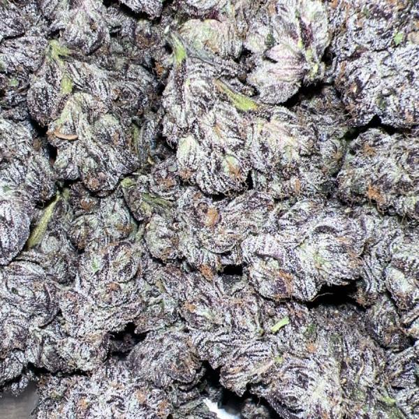 White Burgundy (AAA🍬)