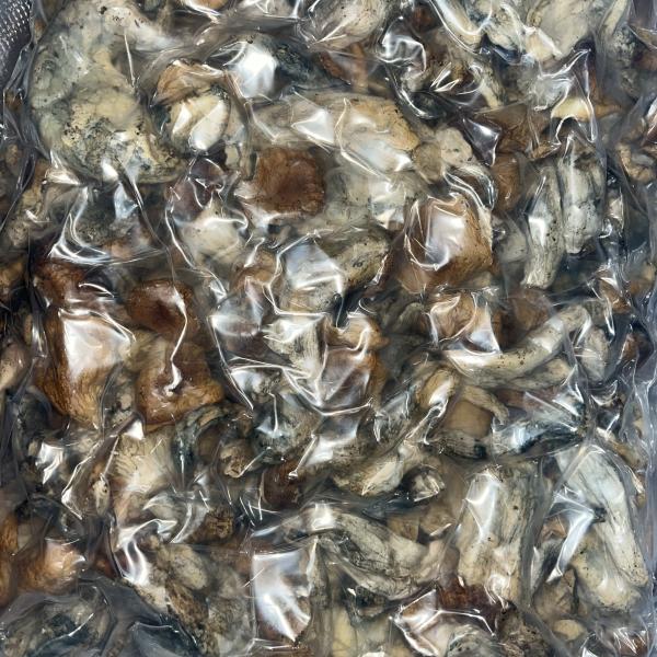 Magic 🍄 (B Grade)