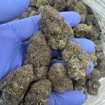 Zkittlez POP 🍬