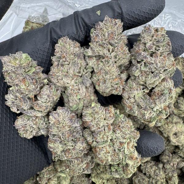 Black maple 🍁