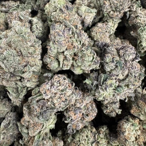 Indoor medium candy’s
