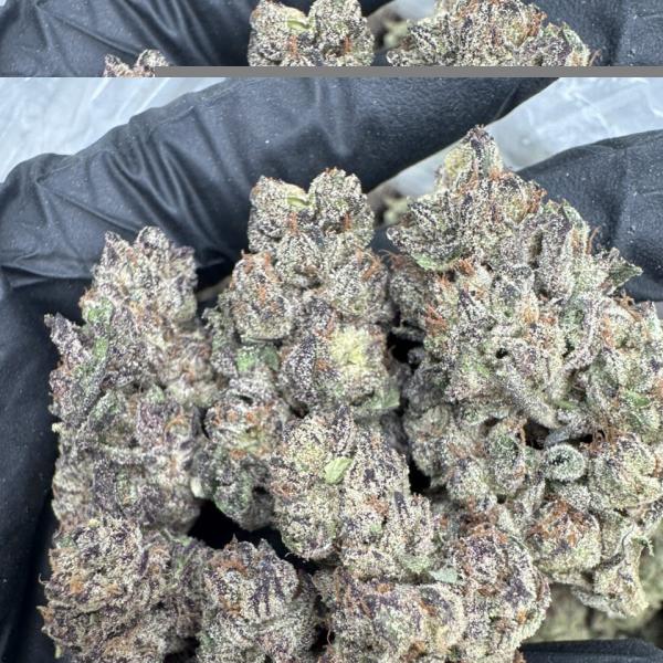 Vanilla frosting 🧁