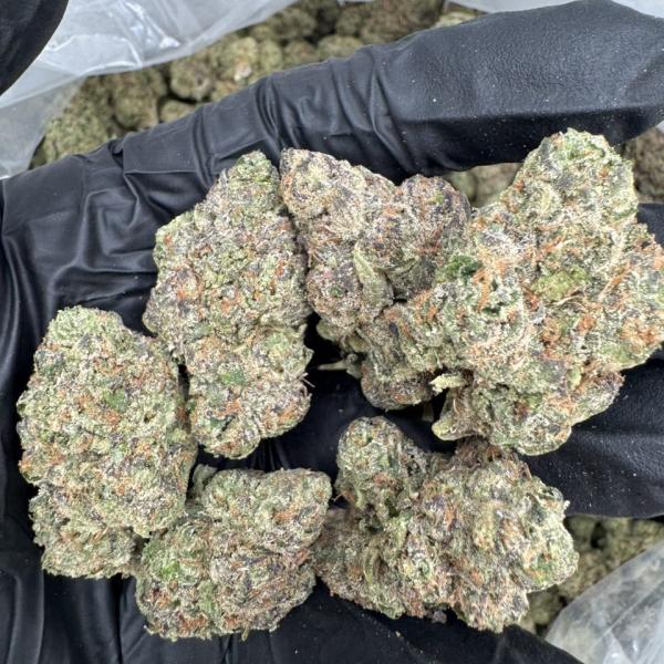 Lemon Candy 🍬