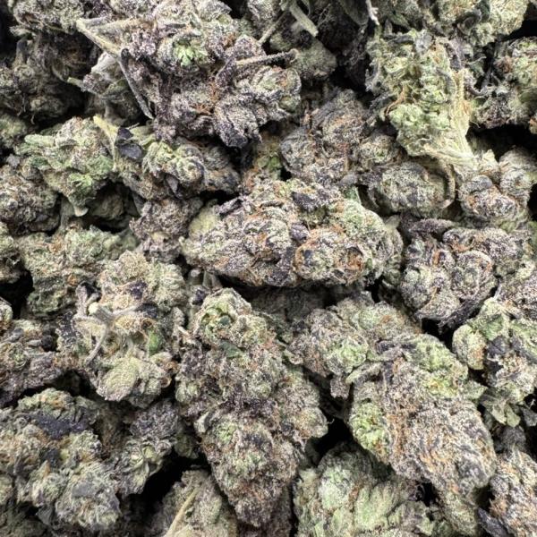 Indoor medium candy’s