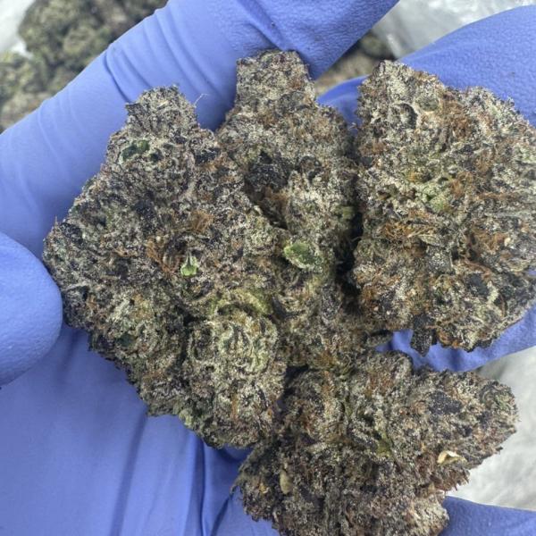 Candy Gas 🍬 ⛽️