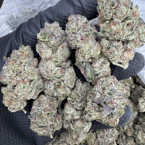Gelato