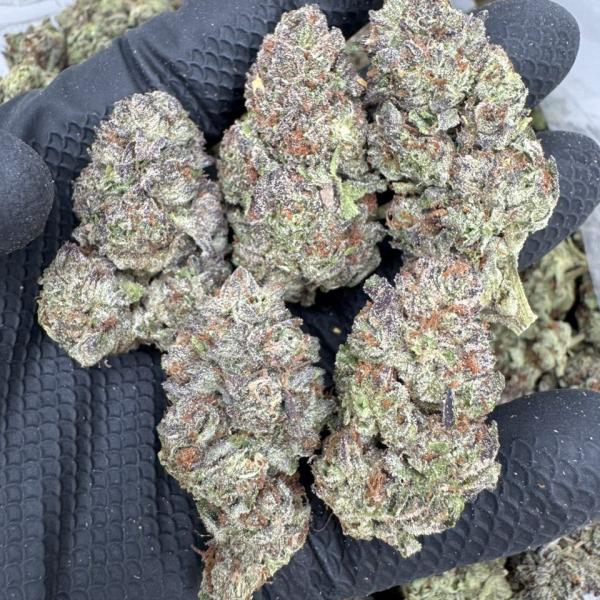 Italian Ice 🧊