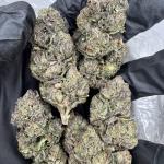 Pink Starburst