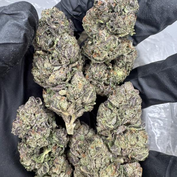 Pink Starburst