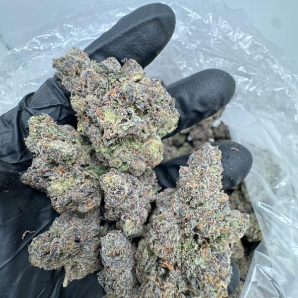 Lemon Cherry Sherb 🍋 🍒 ⛽️