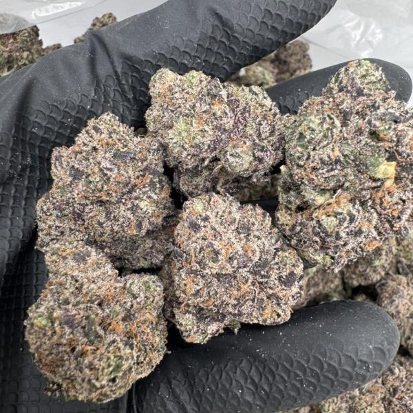 Candy Melonz 🍈 🍬
