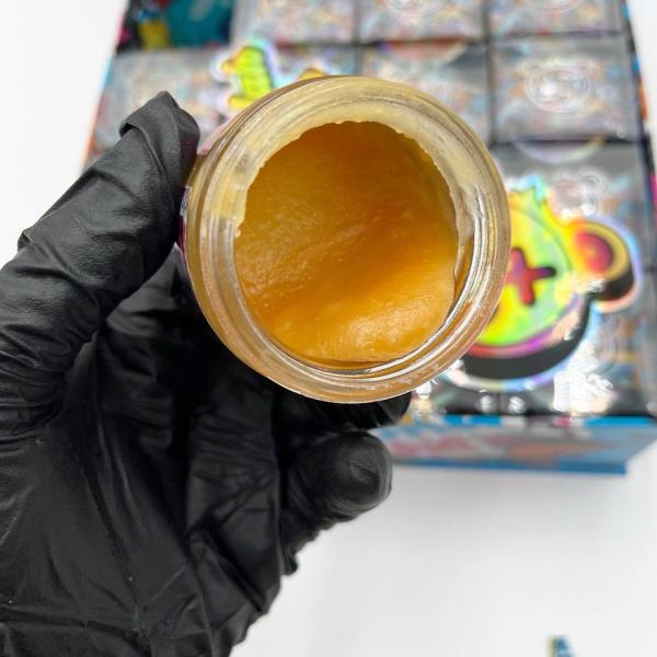 Buddah Bear Wax (Authentic) 🐻