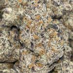 Joker’s Candy 🍬 🃏 🍭