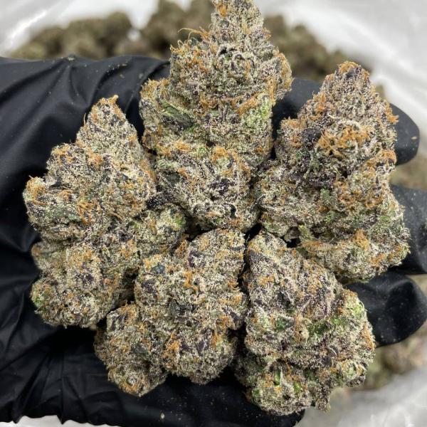 Cherryade indoors 🍒