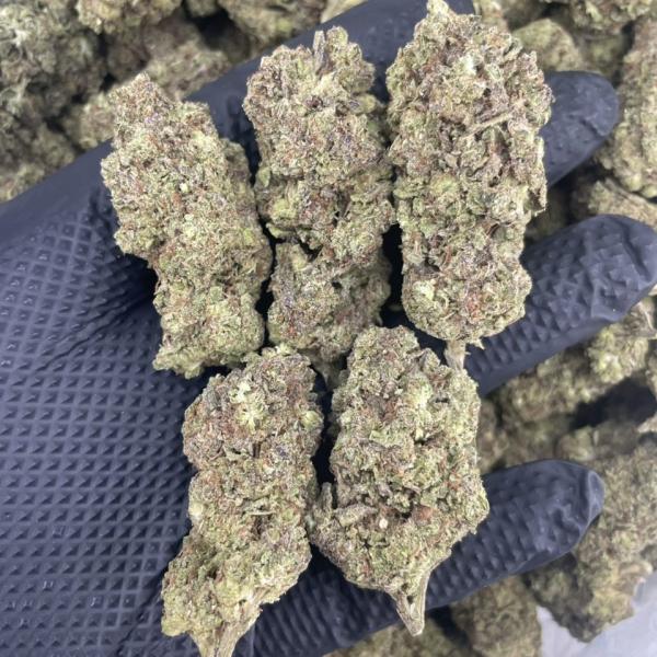 Gush Mintz Deps 🍵