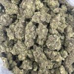 Gush Mintz Deps 🍵