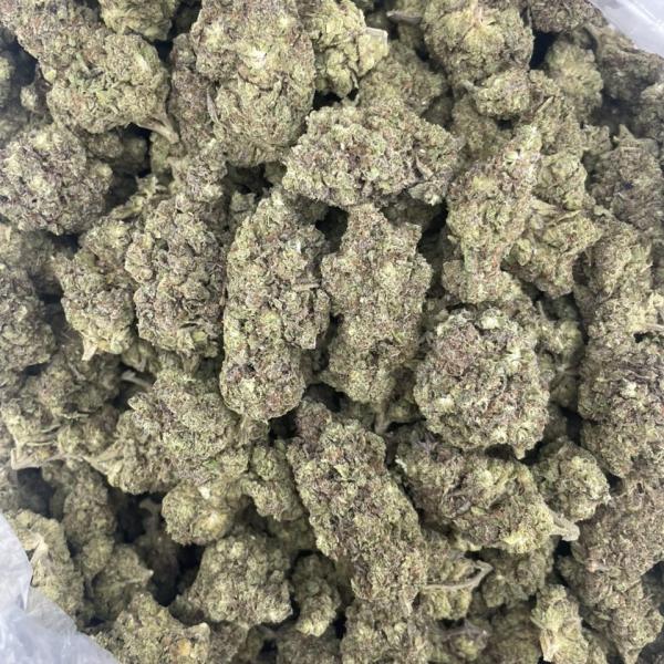 Gush Mintz Deps 🍵