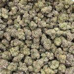 Frozen Grapes indoors 🥶🍇